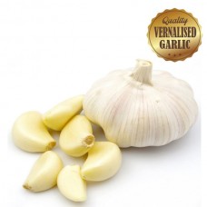 Vernalised Garlic - Australian White 40 - 60mm Bulb Diameter - 10KG